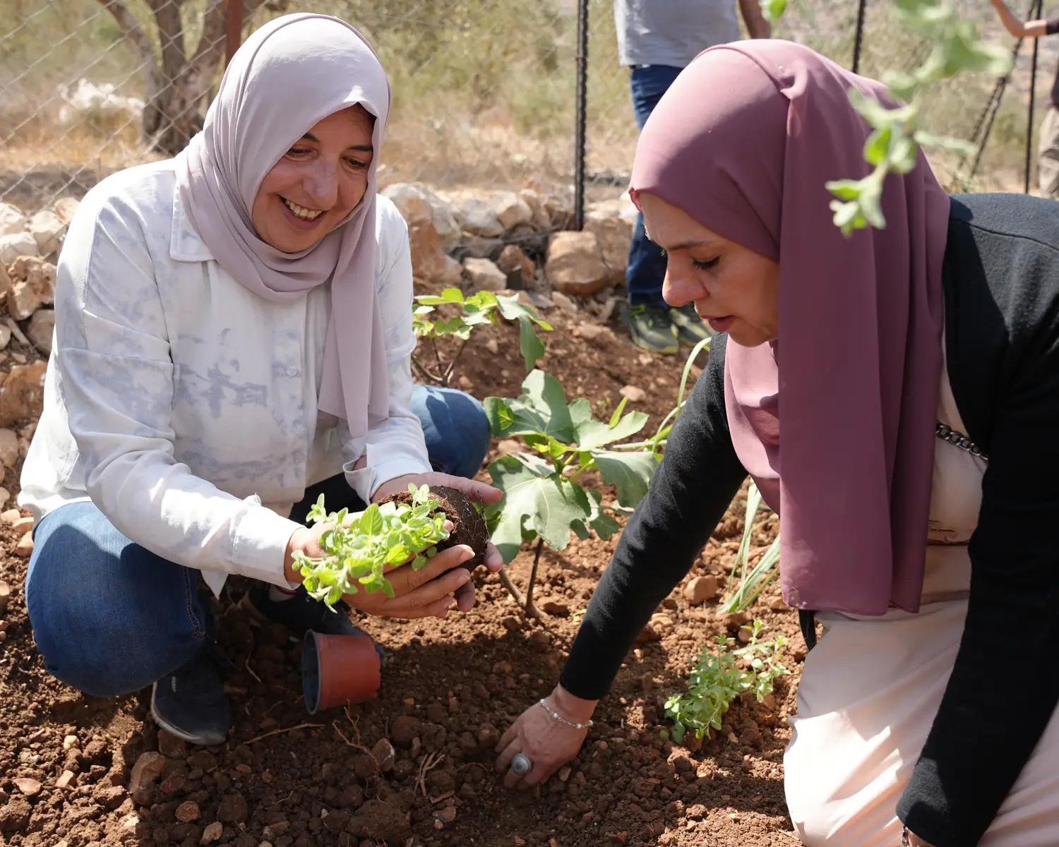 Deux femmes récoltent des légumes dans un potager